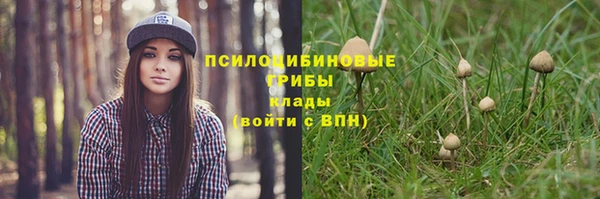 mdpv Алзамай