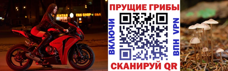 Псилоцибиновые грибы ЛСД  Боготол 